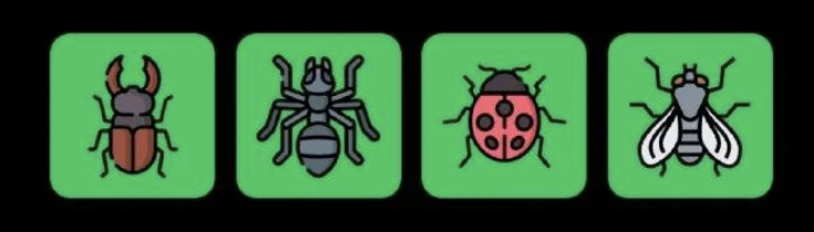 FLIES Daily Combo 22 June 2025